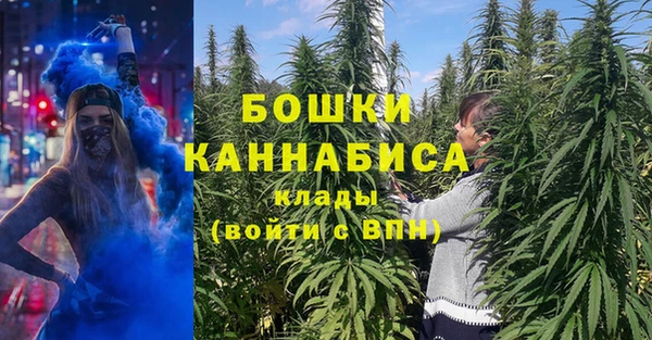 спайс Алексин